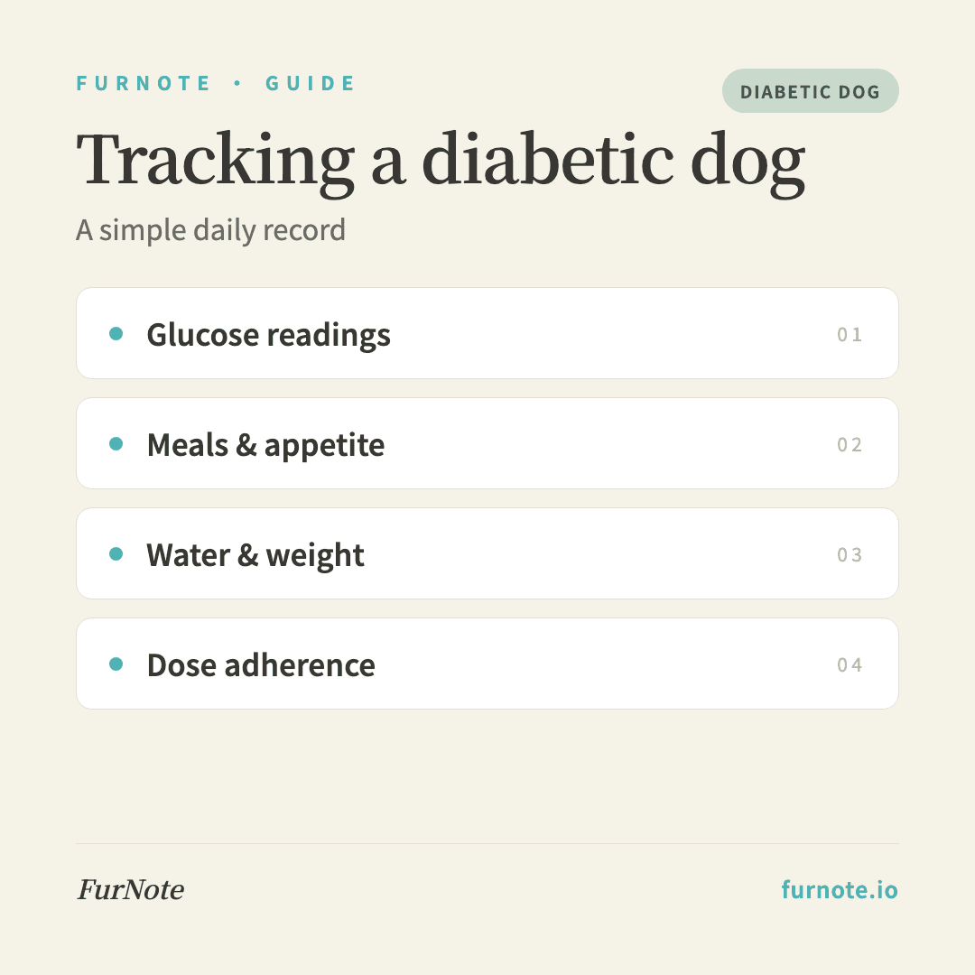 Tracking a Diabetic Dog: A Simple Daily Record with FurNote