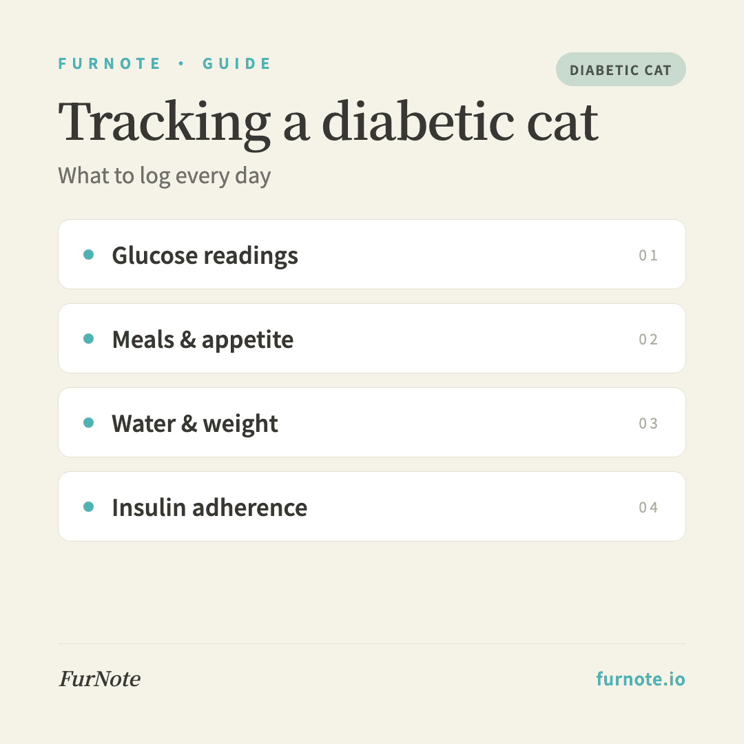 Tracking a Diabetic Cat: A Daily Log for Glucose, Food and More