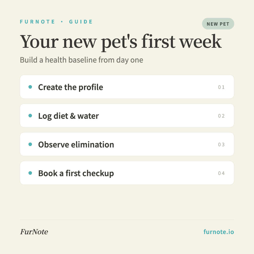 Your New Pet's First Week: What to Record with FurNote