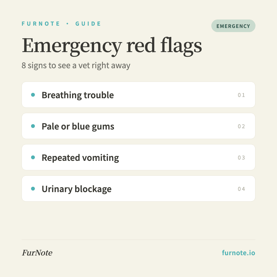 Pet Emergency Red Flags: 8 Signs to Seek a Vet Immediately