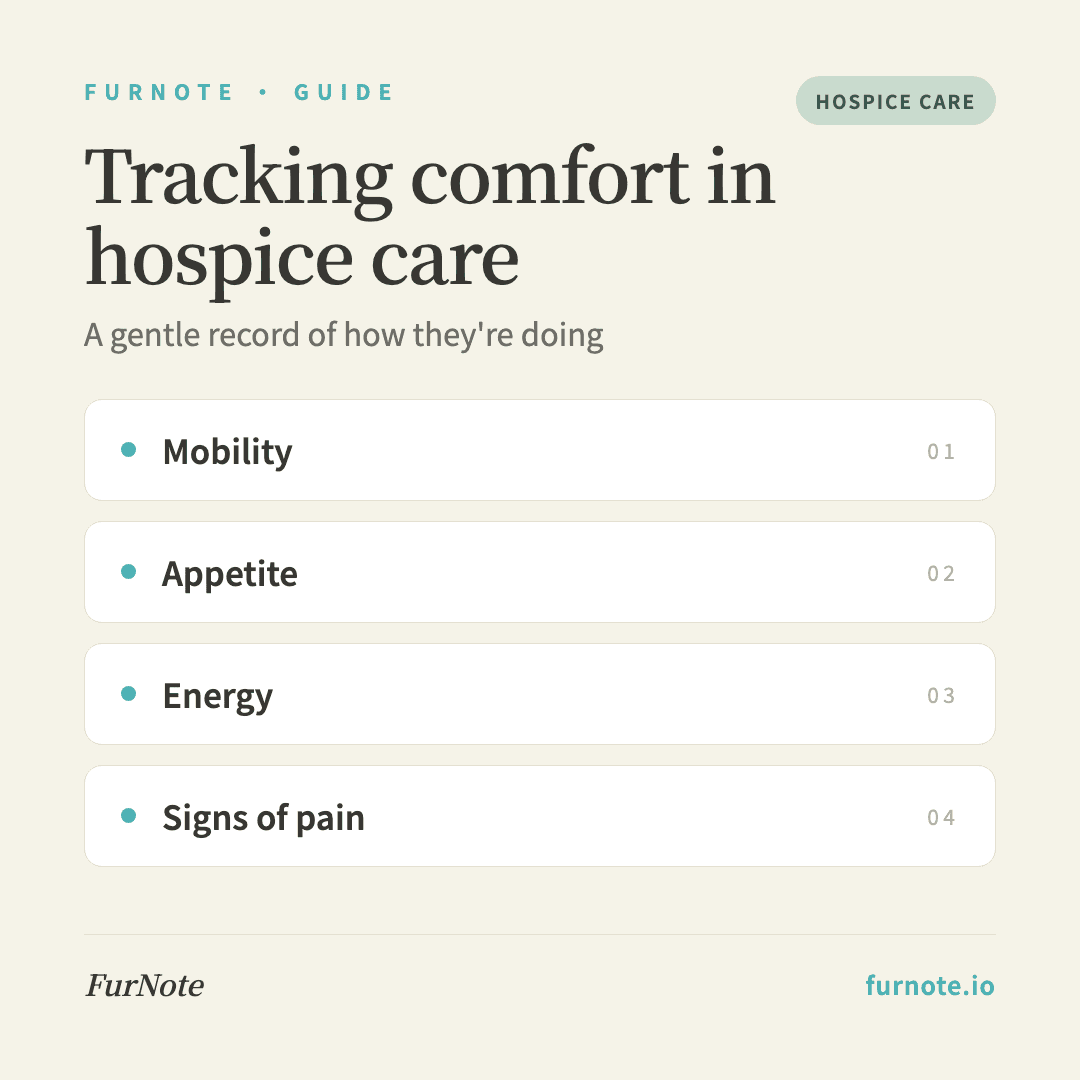 Pet Hospice Care: Tracking Your Companion's Comfort with FurNote