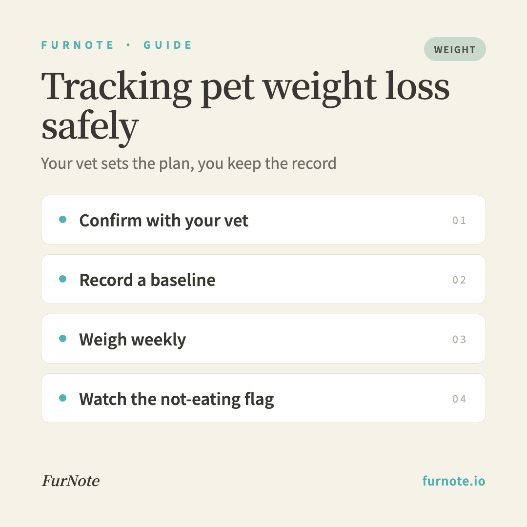 Pet Weight Loss: How to Track It Safely with Your Vet in FurNote