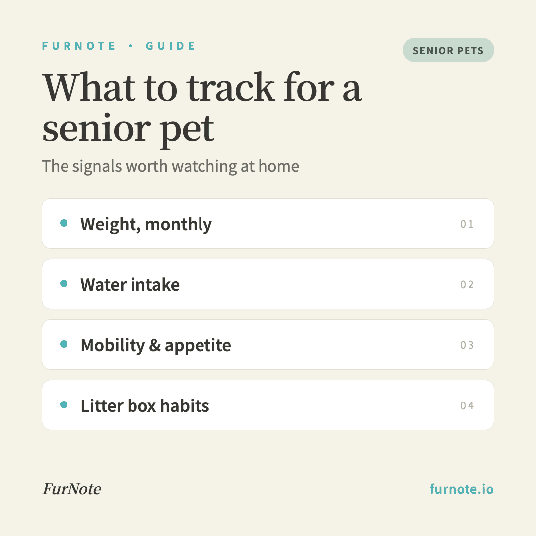 What to Track for a Senior Pet: A Practical At-Home Checklist
